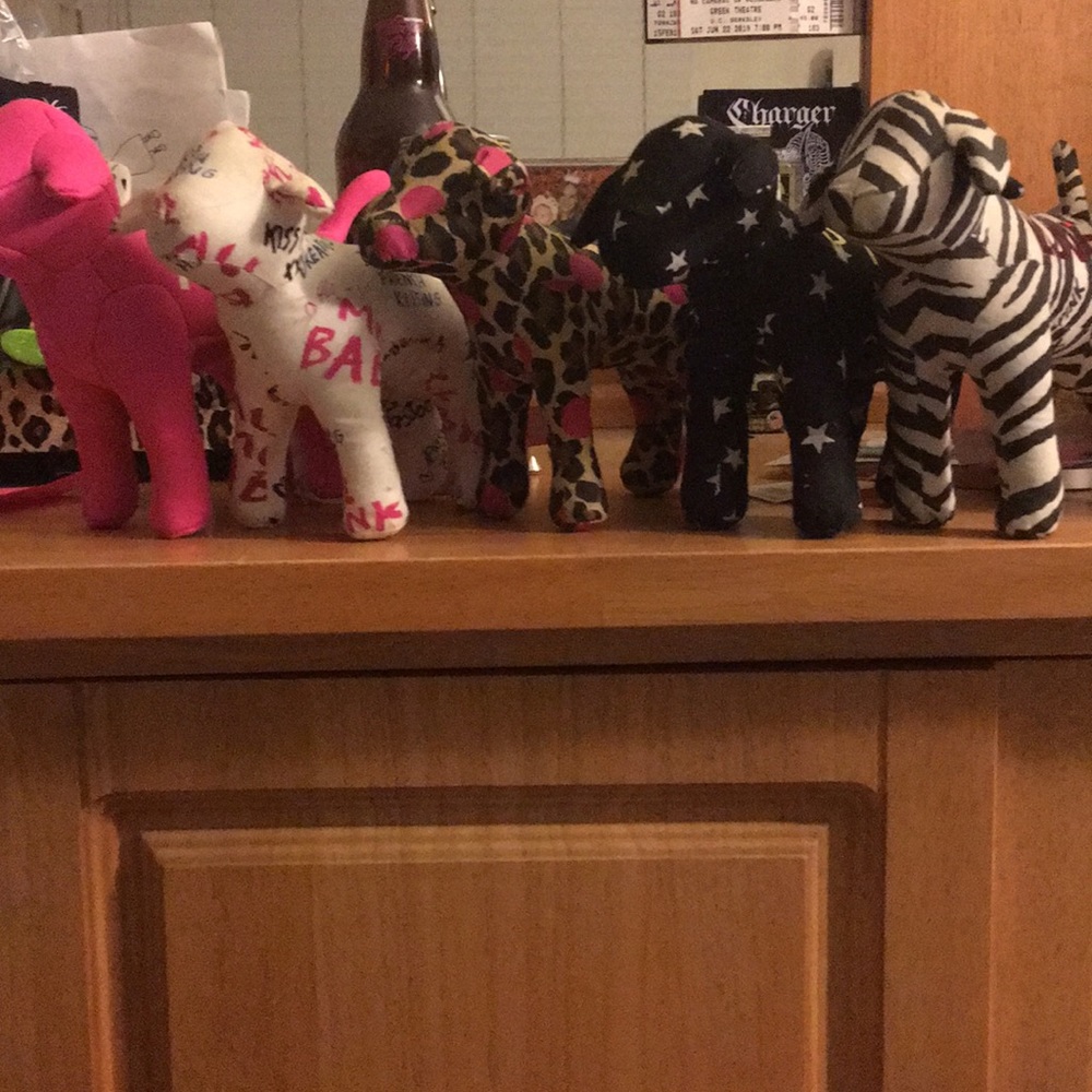 5 vs pink dogs
